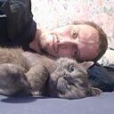 Алексей, 37 лет