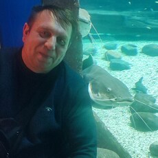 Фотография мужчины Владимир, 46 лет из г. Вязьма