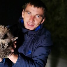 Фотография мужчины Nikolai, 38 лет из г. Новосибирск