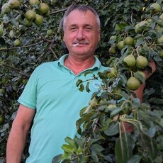 Фотография мужчины Андрей, 56 лет из г. Завитинск
