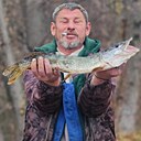 Сергей, 52 года