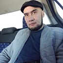 Волк, 40 лет