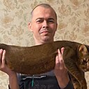 Дмитрий, 45 лет