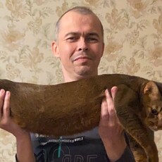 Фотография мужчины Дмитрий, 45 лет из г. Волжск