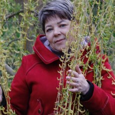 Фотография девушки Nata, 62 года из г. Тула