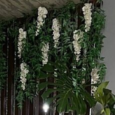 Фотография девушки Елена, 54 года из г. Курск