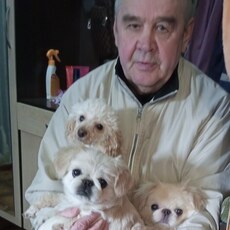 Фотография мужчины Александр, 67 лет из г. Сафоново