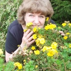 Фотография девушки Марианна, 63 года из г. Москва