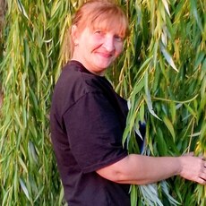 Фотография девушки Лена, 41 год из г. Камышин