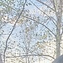 Артëм, 28 лет