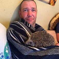 Фотография мужчины Денис, 43 года из г. Березовский (Свердловская Обл)