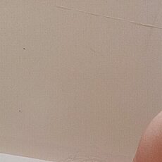 Фотография девушки Виктория, 21 год из г. Воронеж