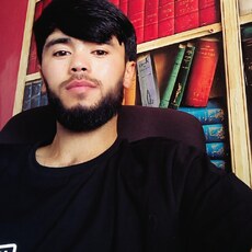 Фотография мужчины Шоин, 26 лет из г. Пушкино (Московская Обл)