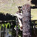 Мария, 40 лет