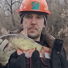 Фотография мужчины Дима, 37 лет из г. Ногинск