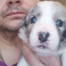 Фотография мужчины Алексей, 50 лет из г. Зеленодольск