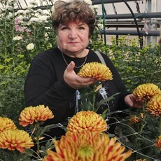 Фотография девушки Татьяна, 61 год из г. Нижнекамск