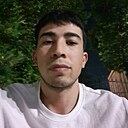 Аликгатор, 30 лет