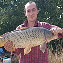 Серго, 36 лет