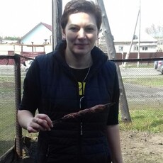 Фотография девушки Алена, 42 года из г. Новоалтайск