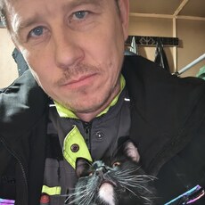 Фотография мужчины Алексей, 38 лет из г. Дмитров