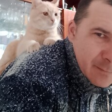 Фотография мужчины Сергей, 41 год из г. Новоселицкое