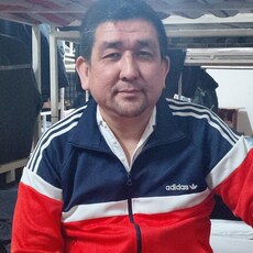 Фотография мужчины Санат, 45 лет из г. Алматы