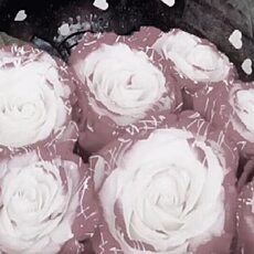 Фотография девушки Малефисента, 50 лет из г. Донецк