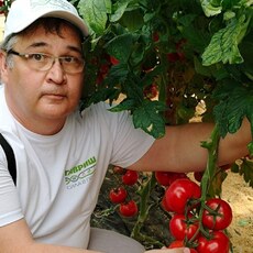 Фотография мужчины Шамиль, 55 лет из г. Уфа
