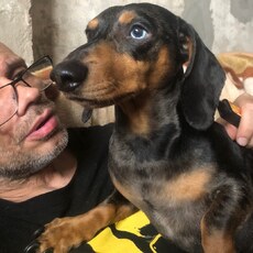 Фотография мужчины Олег, 50 лет из г. Омск