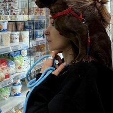 Фотография девушки Veronika, 23 года из г. Краснодар