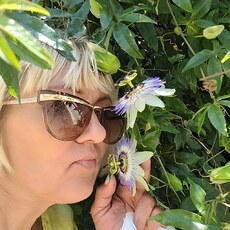 Фотография девушки Iva, 51 год из г. Сочи