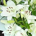 Малефисента, 50 лет