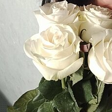 Фотография девушки Незнакомка, 49 лет из г. Белокуриха