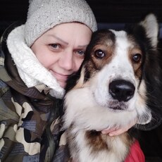 Фотография девушки Елена, 61 год из г. Мурманск