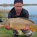 Игорь, 36 лет