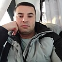 Азиатский Лев, 37 лет