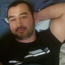 Волк, 33 года