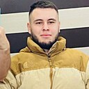 Медведь, 26 лет