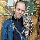 Антон, 31 год