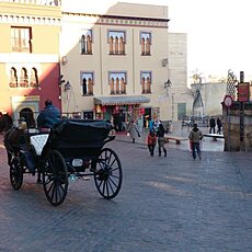 Фотография девушки Vvv, 46 лет из г. Саратов