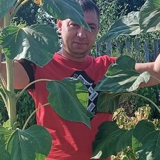 Фотография мужчины Vadim, 45 лет из г. Йошкар-Ола