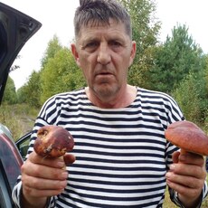 Фотография мужчины Владимир, 61 год из г. Новосибирск