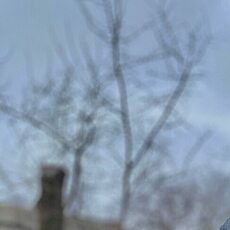 Фотография мужчины Вадим, 18 лет из г. Элиста