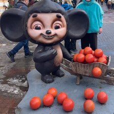 Фотография девушки Елена, 47 лет из г. Волгодонск