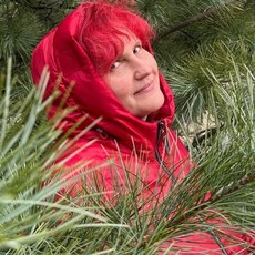 Фотография девушки Любовь, 49 лет из г. Артем