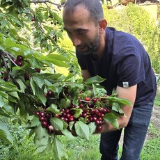 Фотография мужчины Нурлан, 35 лет из г. Выборг