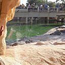 Надежда, 43 года