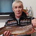 Алексей, 56 лет