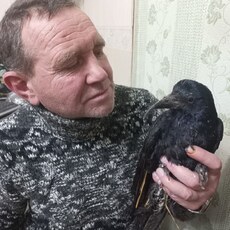 Фотография мужчины Nikolay, 51 год из г. Тюмень